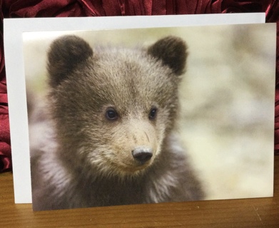 Bear Blank Card