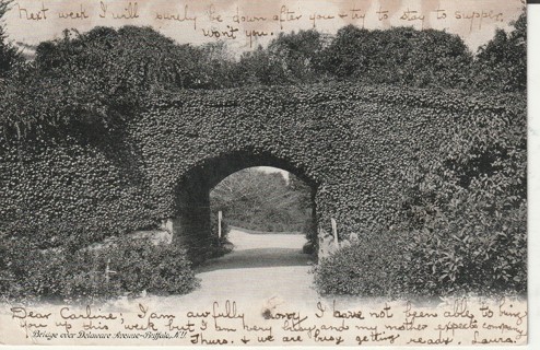 Vintage Used Postcard: B&W: 1905 Bridge over Delaware Avem Buffalo, NY