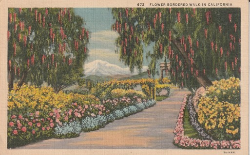 Vintage Used Postcard: u: 1936 Flower Walk in California