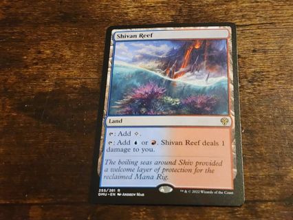 Magic the gathering mtg Shivan Reef rare card Dominaria United