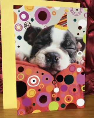 Sleeping Puppy Wearing Birthday Party Hat Card
