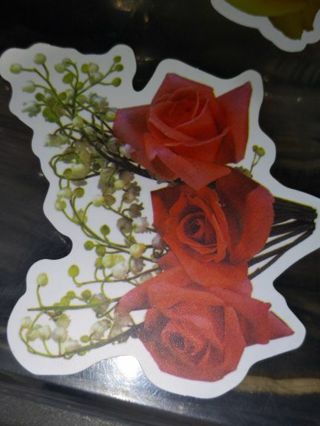 Pretty one vinyl sticker no refunds regular mail only Very nice quality!