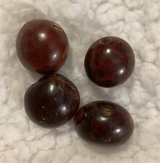 4 Tagua Nut Beads