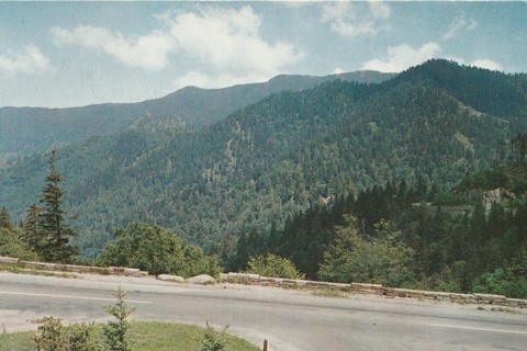 Vintage Unused Postcard: h: Mt LeConte, Smoky Mountains