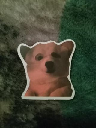 Puppy dog face sticker