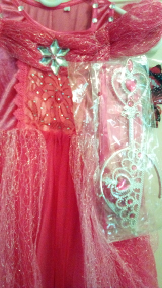 Pink dress / costume with a crown ,gloves,wand, Butterflies,NWOT 