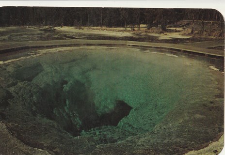 Vintage Unused Postcard: p: Morning Glory Pool, Yellowstone