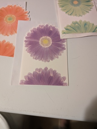 pretty blank cards..write your own messages
