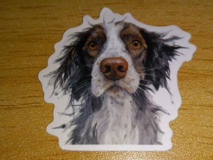 Dog new one vinyl lap top sticker no refunds regular mail very nice quality