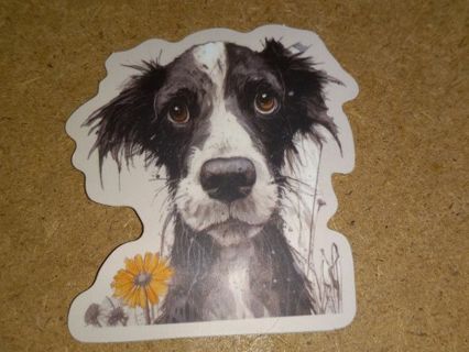 Dog Cute new one vinyl sticker no refunds regular mail only Very nice these are all nice