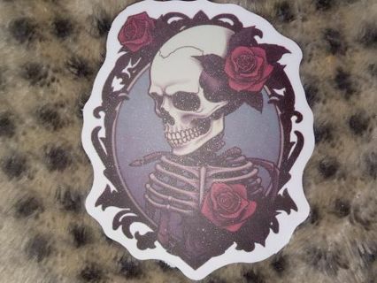 Cool new one vinyl lap top sticker no refunds regular mail very nice quality