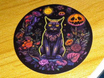 Cat Cool new 1⃣ vinyl lap top sticker no refunds regular mail very nice quality