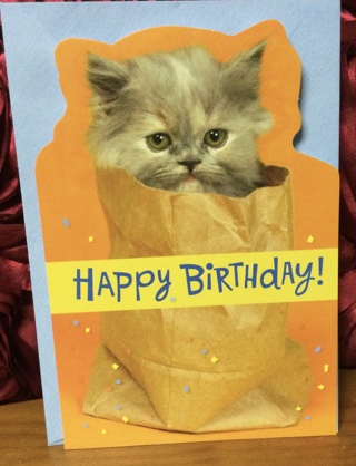 Cat in a Sack Birthday Card