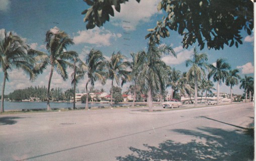 Vintage Used Postcard: gin: 1955 Las Olas Blvd, Fort Lauderdale, FL