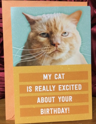 Orange Cat Birthday Card