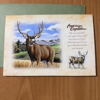 American Expedition Note Card (A)