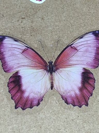 Free: Pretty new one big thin vinyl laptop sticker no refunds regular mail only
