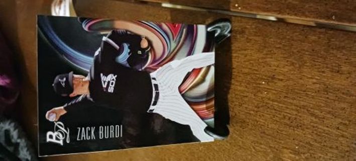 2018 Zack Burdi Minor League Card