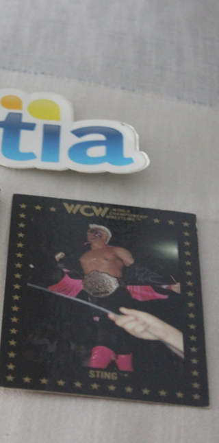 1991 WCW Sting Championship Marketing Cards Wrestling WWF WWE AEW