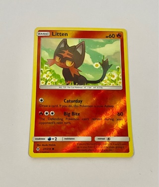 Pokemon Card