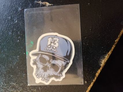 Skull Sticker