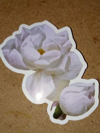 Flower 1⃣ Cool new vinyl sticker no refunds regular mail only Very nice
