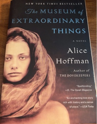 The Museum of Extraordinary Things by Alice Hoffman 