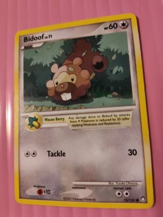 Bidoof Pokemon Card