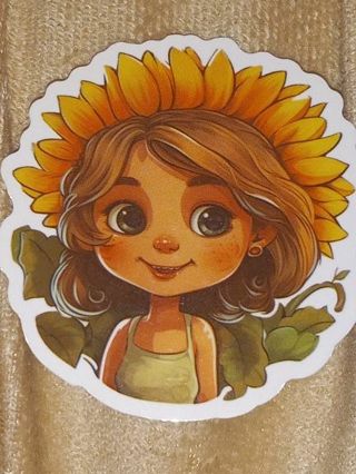 Girl new one nice vinyl lab top sticker no refunds regular mail high quality!