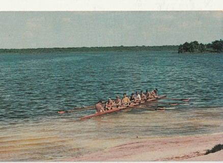 Vintage Unused Postcard: (b): Little Lake Harris