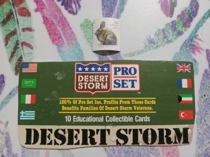 Desert Storm Cardboard Cut Out