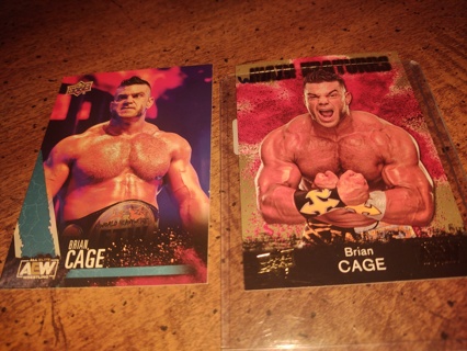 Two card lot aew wrestling Brian Cage