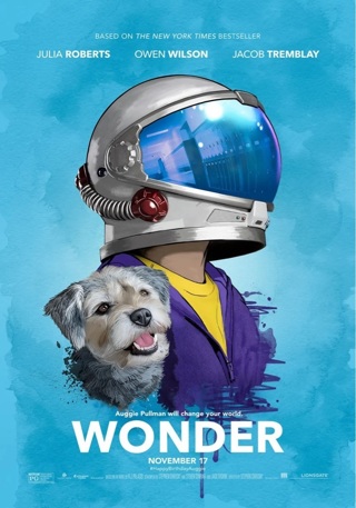 WONDER 4K ITUNES CODE ONLY