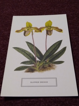 Postcard - SLIPPER ORCHID