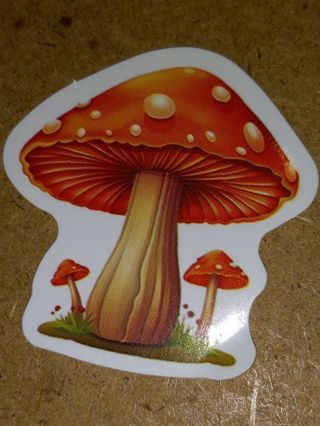 Cool one new small vinyl lap top sticker no refunds regular mail very nice quality