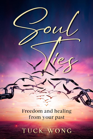 [NEW] Soul Ties: Freedom and healing from your past (Paperback) – December 16, 2016