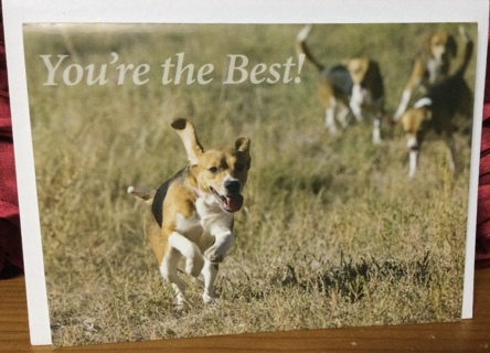 Your’e the Best Dogs Blank Card
