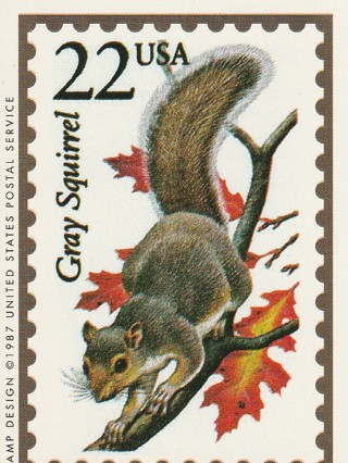 Vintage Wildlife America Collector/Trade Card: Gray Squirrel