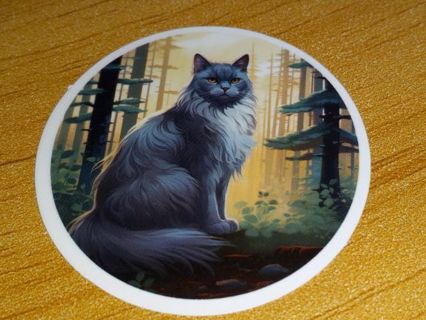 Cat Cool new 1⃣ small vinyl laptop sticker no refunds regular mail very nice quality