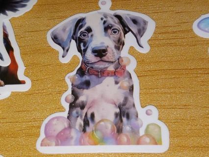 Dog Cute new 1⃣ vinyl lap top sticker no refunds regular mail very nice quality