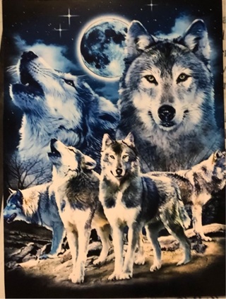 Wolf Family - 3 x 4” MAGNET - GIN ONLY
