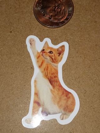 Cat Cute vinyl laptop sticker no refunds regular mail win 2 or more get bonus