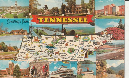 Vintage Used Postcard: d: Greetings from Tennessee