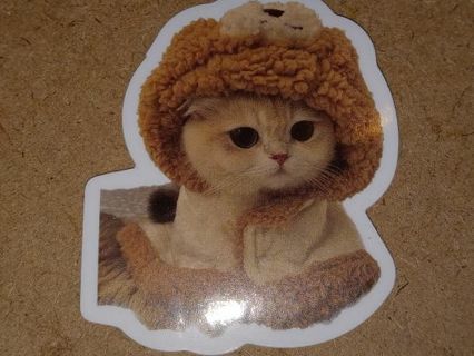 Cat one nice vinyl lab top sticker no refunds regular mail win 2 or more get bonus