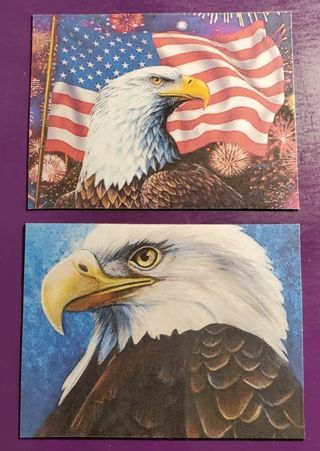Eagle/Flag Magnets