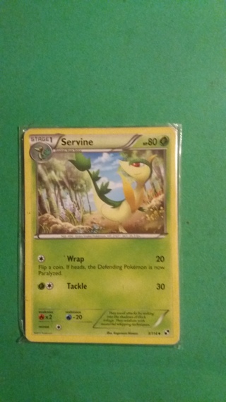 5 mixed pokemon cards free shipping