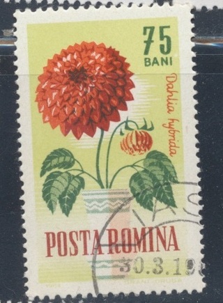 Romania:  1969, Dahlia, Garden Flowers, Used, Scott # RO-1627 - ROM-5000c