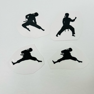 GIRL Karate Taekwondo Martial Arts Stickers 