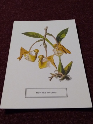 Botanical Postcard - MONKEY ORCHID