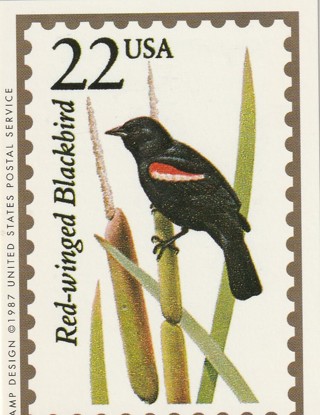 Vintage Wildlife America Collector/Trade Card: Red-Winged Blackbird